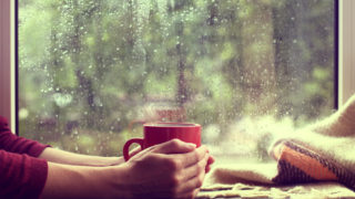 映画【雨に唄えば】のあらすじと口コミ・感想